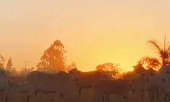 Imagem: Vendo ótimo sítio no pipiripau em Planaltina