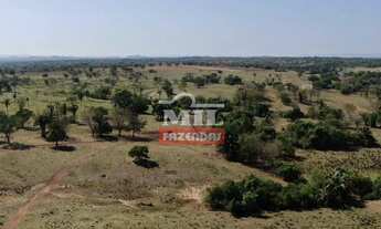 Imagem 3: Fazenda 198 Alqueire (958 hectares) Araguapaz - GO