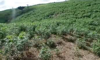 Imagem 4: Venda-se está propriedade de 5 alqueires em São Francisco do Itabapoana/RJ