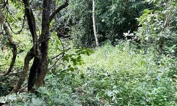 Imagem 7: Imóvel Chácara venda 1500 m2 em Área Rural de Senador Canedo - Senador Canedo - GO