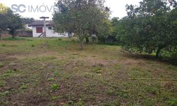 Imagem: Terreno Plano ideal para fazer um loteamento