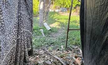 Imagem 5: Casa/chácara Casa com 2 dormitórios