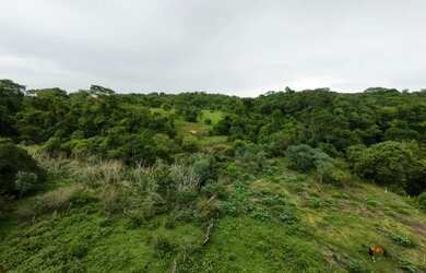 Imagem 2: Fazenda à Venda - Oportunidade Rara!