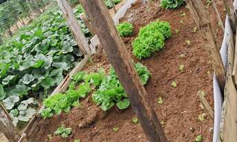 Imagem 7: Chácara Chácara com venda com preço sob consulta