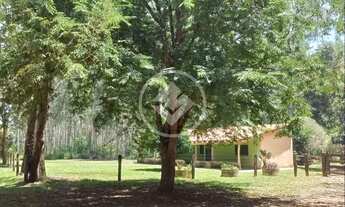 Imagem 4: FAZENDA COM ESTRUTURA PARA PISCICULTURA E EUCALIPTO - R$ 3.200.000,00 - SANTO ANTONIO LEVE