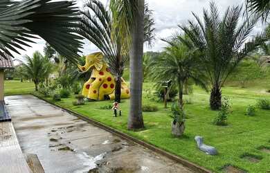 Imagem 5: Fazenda em São Miguel do Passa Quatro