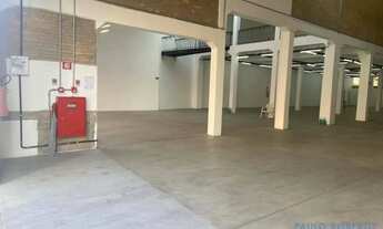 Imagem 3: LOJA - BRÁS - SP