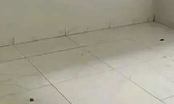 Imagem 5: More no Papagaio! Entrada a partir de R$ 20 Mil