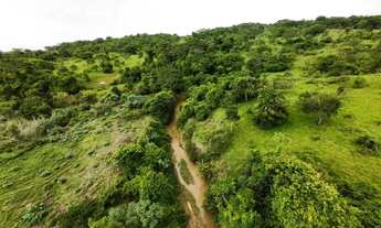Imagem: Fazenda à Venda - Oportunidade Rara!
