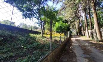 Imagem 3: Rancho com 9 dormitórios à venda por R$ 8.000.000,00 - Colônia - São Paulo/SP