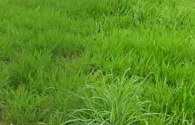 Imagem 5: Excelente área de 386 m2 no Anápolis City II Etapa o Bairro Anápolis City - Anápolis - GO