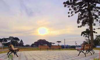 Imagem 5: Terreno à venda, 245 m² por R$ 238.000,00 - Costeira - São José dos Pinhais/PR