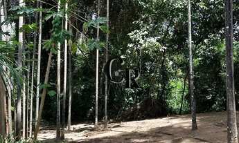 Imagem 3: Chácara em São Miguel do Passa Quatro