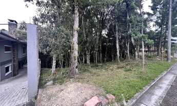 Imagem 4: Terreno - Bairro Carniel