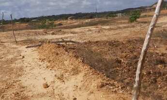Imagem 4: Vendo Terreno Localizado santa Maria