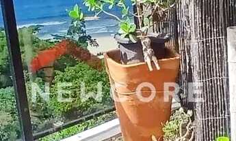 Imagem 3: Apartamento em Avenida General Rondon - Vila Alzira - Guarujá/SP