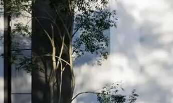 Imagem 5: SN Casa em condomínio com 5 dormitórios