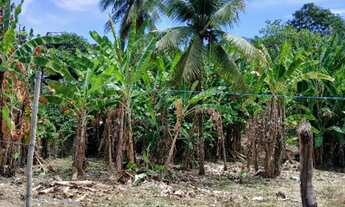 Imagem 6: Lote de 200 m² em Morro de São Paulo