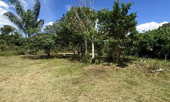 Imagem 3: Vendo terreno no km 21no ramal do paricatuba