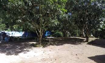 Imagem 5: Chácara Na zona Rural do Girassol Goiás