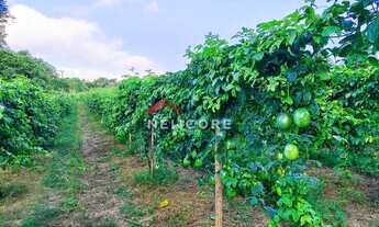 Imagem 5: Sítio em Centro - Centro - São Miguel Arcanjo/SP