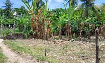 Imagem 7: Lote de 200 m² em Morro de São Paulo