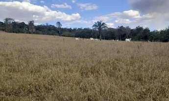 Imagem: Chácara para venda 6 alqueires em Zona