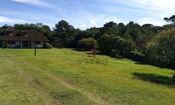 Imagem 6: Sítio à Venda em Gramado!