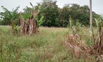 Imagem 6: Sitio Chácara com venda por R$170.000