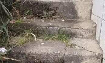 Imagem 7: IAPI 1/4 Casa com 1 dormitório