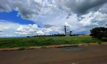 Imagem 7: Terreno em Jardim Morumbi: Tranquilidade e Natureza