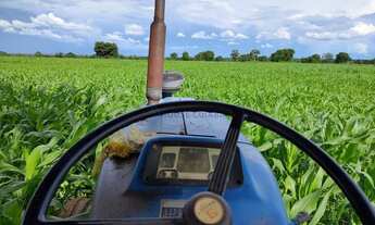 Imagem: VENDO FAZENDA 1.226 HECTARES MUNICIPIO DE