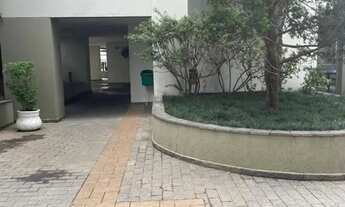 Imagem 4: APARTAMENTO - VILA GILDA - SP