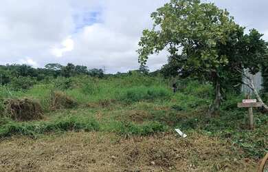 Imagem 2: Vende se este terreno