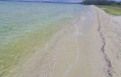 Imagem: Carnaval em arraial do cabo pé na areia