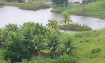 Imagem: Sítio de 4,8 hectares