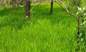 Imagem: Belíssimo terreno em São Roque com escritura