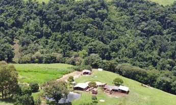 Imagem 7: Sítio de 6,5 alqueires em Pardinho-SP