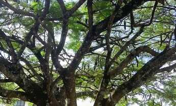 Imagem 3: Terreno a venda no condomínio Portal dos Bandeirantes I - Porto Feliz-SP