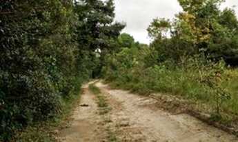 Imagem 2: Fazenda para Venda em Porto Seguro, arraial d ajuda