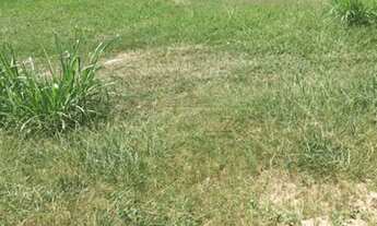 Imagem 5: Aceita permuta - Terreno - Residencial Mirante do Vale - 1.000m²