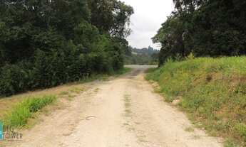 Imagem 6: TERRENO CONTENDA - TE398