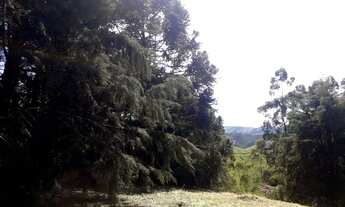 Imagem 4: Fazenda/Sítio/Chácara para venda possui 48400 metros quadrados com 4 quartos