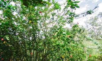 Imagem 2: Chácara para venda no bairro Batatuba em Piracaia SP