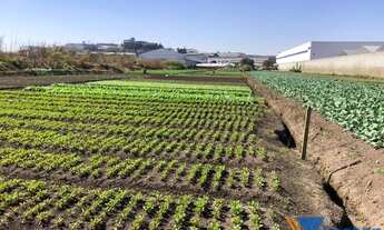 Imagem 2: Terreno comercial a venda localizado no bairro Portão em Arujá-SP!