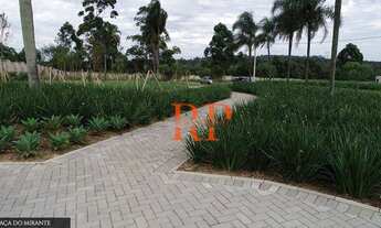 Imagem 7: Terreno à venda, 806 m² por R$ 560.000,00 - Centro - Jundiaí/SP