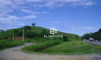 Imagem 3: Área à venda com 10.300 m² as margens da rodovia Presidente Dutra altura km196, Arujá/SP c