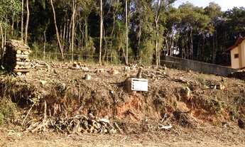 Imagem 3: Terreno de condomínio em Serra da Cantareira, SP, 1.100 m², projeto aprovado desmatado