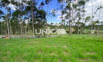 Imagem: CAMPOS CONDE TAUBATÉ