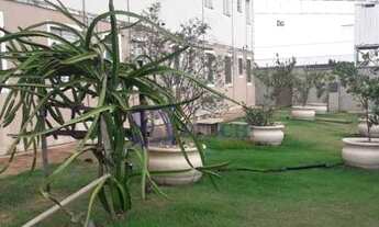 Imagem 6: Venda de Apartamentos / Padrão na cidade de Araraquara